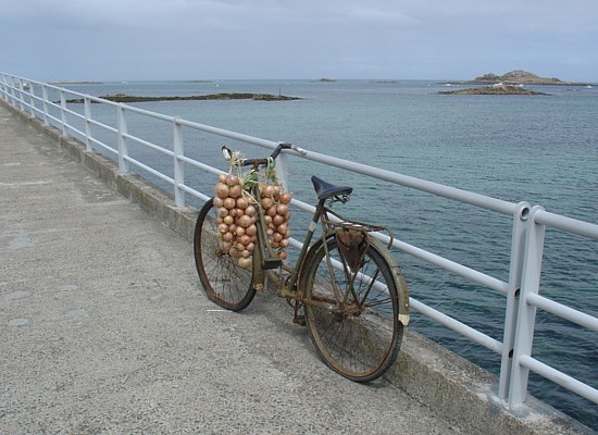 Roscoff in der Nord-Bretagne: "Johnnies" verkauften Zwiebeln aus der Bretagne in England direkt vom Fahrrad.