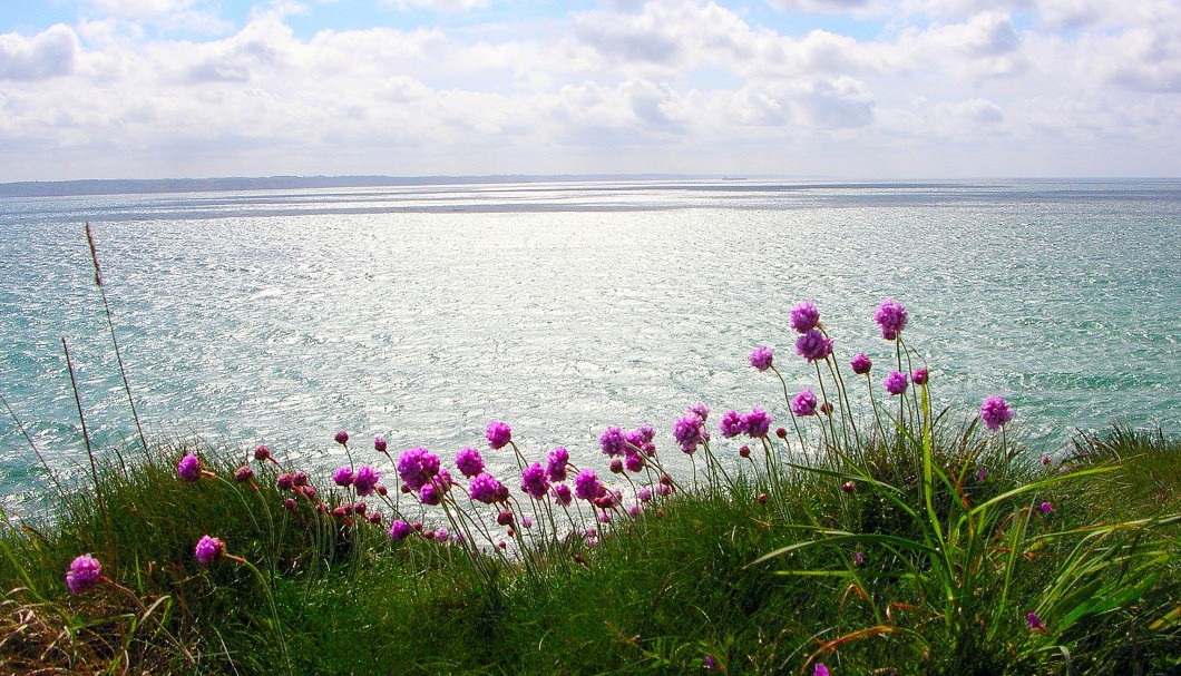 Ferienhäuser Bretagne Saint Sula - Vegetation am Meer