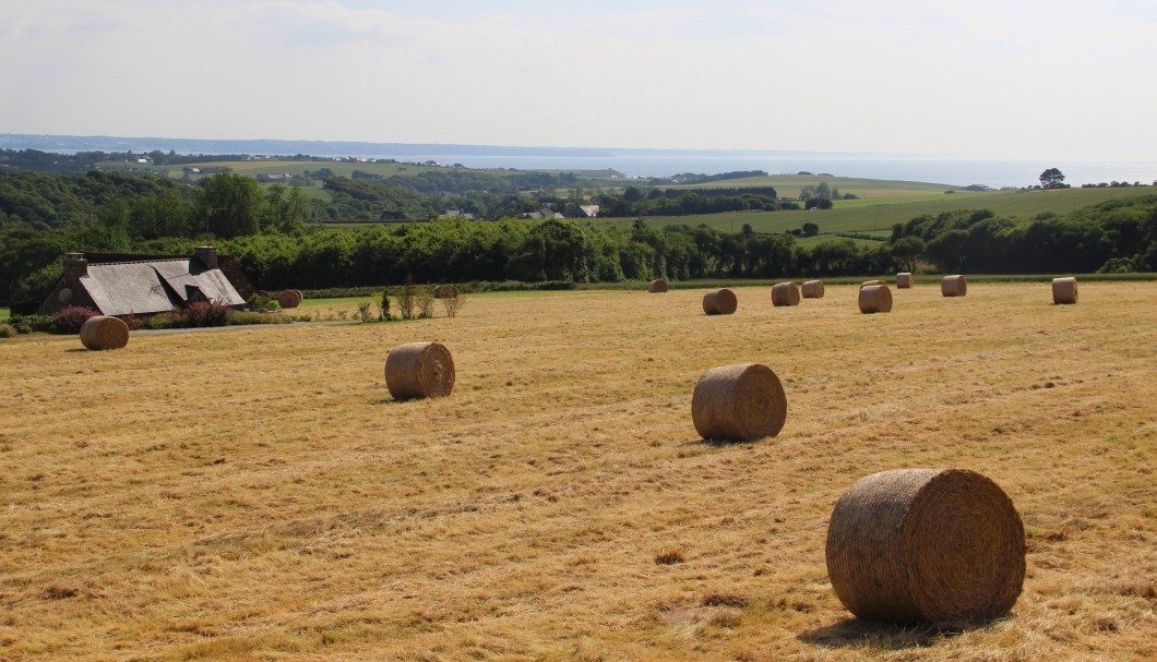 Ferienhäuser Bretagne Torarmenez Blick auf Küste